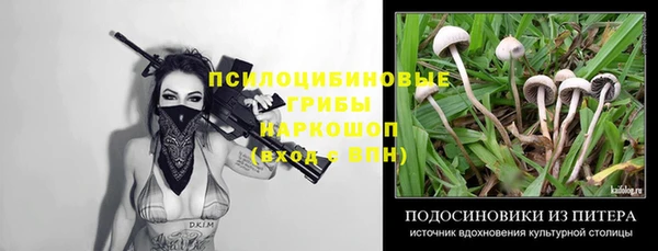 не бодяженный Богданович