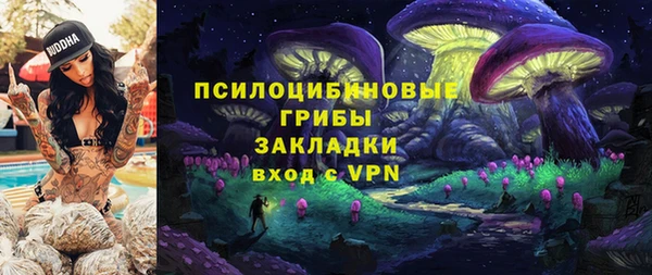 скорость Богородицк