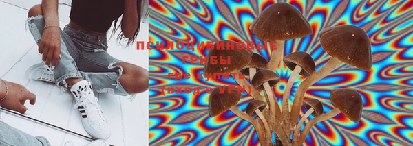 не бодяженный Богданович